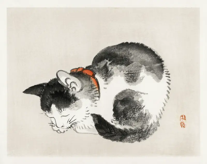 Sleeping Cat by Kono Bairei